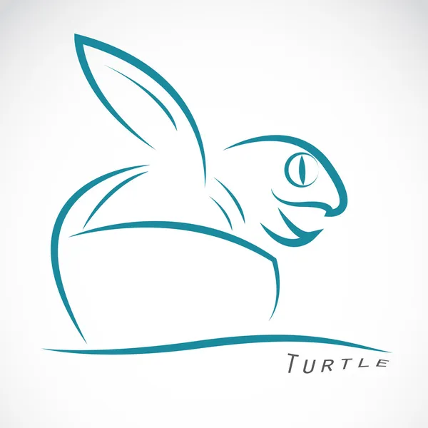 Imagen vectorial de una tortuga — Vector de stock