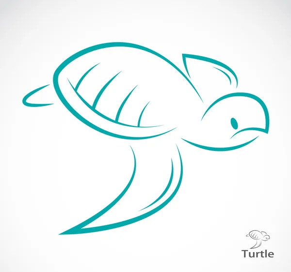 Imagen vectorial de una tortuga — Vector de stock