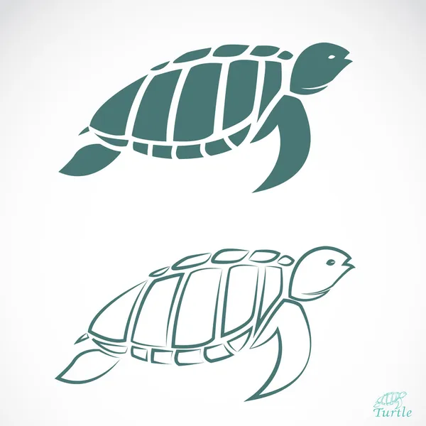 Vector image of an turtle — Stock Vector