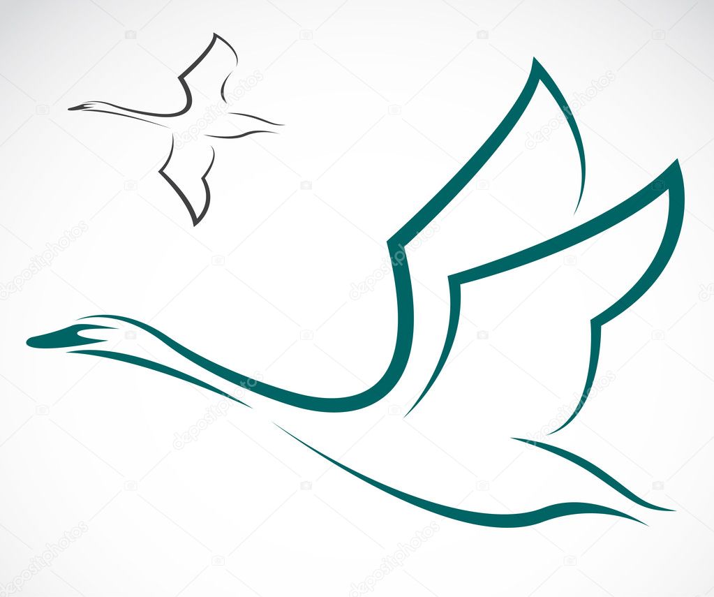 Vector image of swans