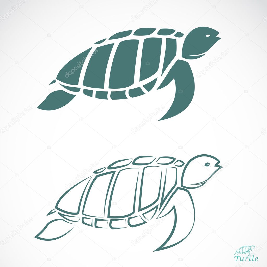 Vector image of an turtle