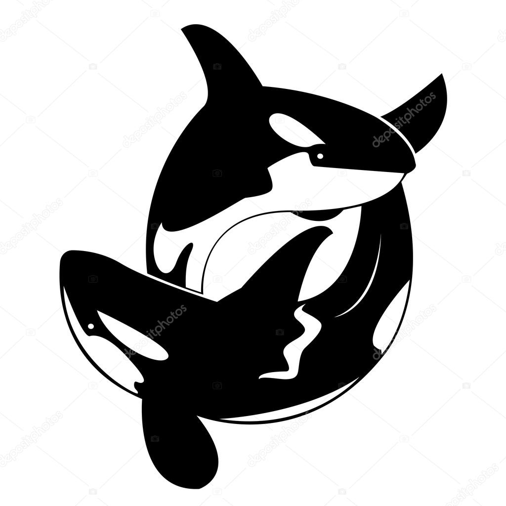 Vector image of an whale