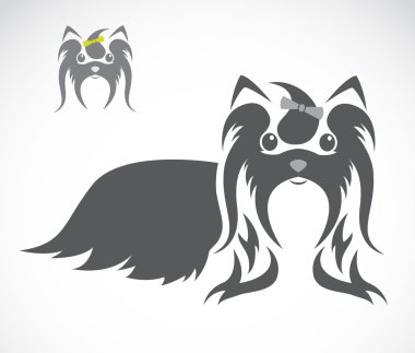 vektör görüntü bir shih tzu köpek