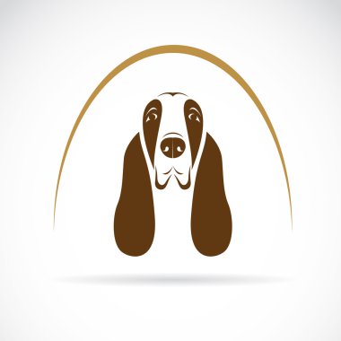 vektör görüntü bir basset Hound