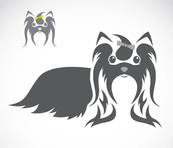 Imagen vectorial de un perro shih tzu — Vector de stock
