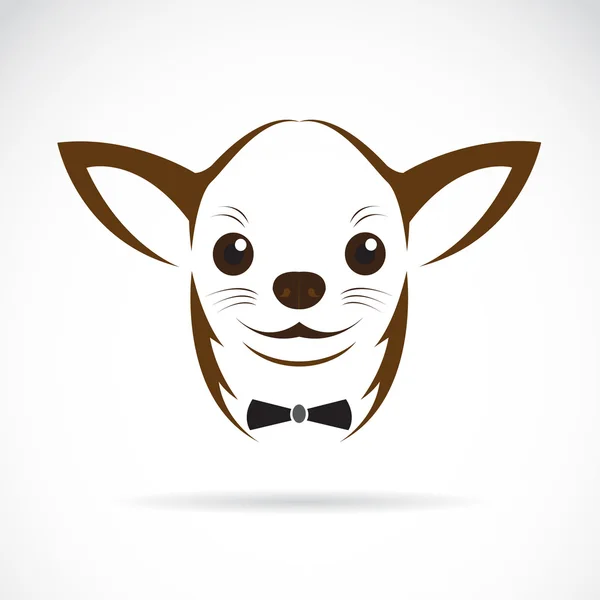 Vektorbild eines Chihuahua-Hundes — Stockvektor