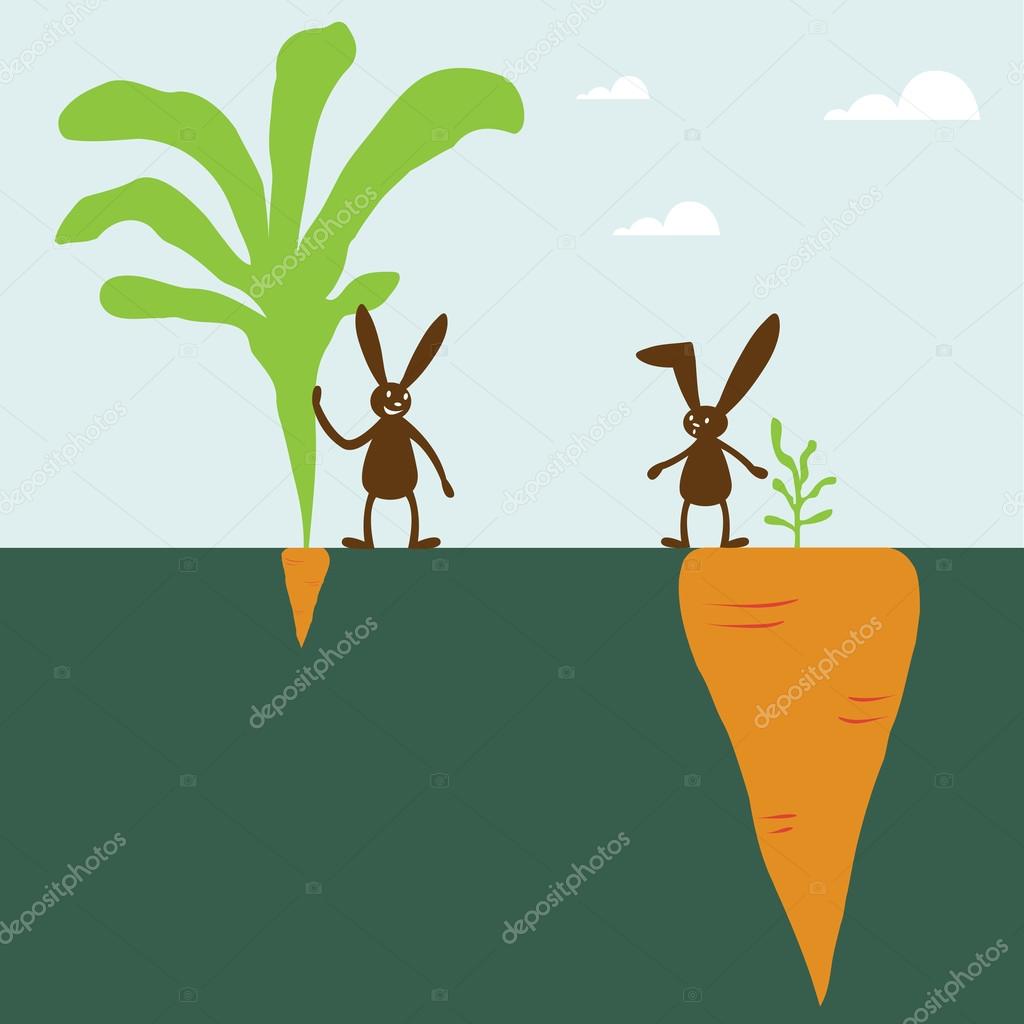 Rabbit and carrot