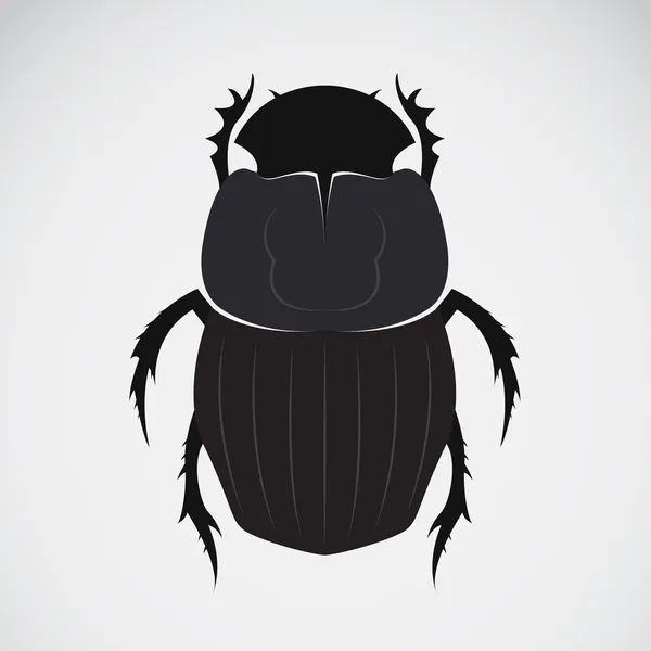 一只甲虫的矢量图像 — 图库矢量图片