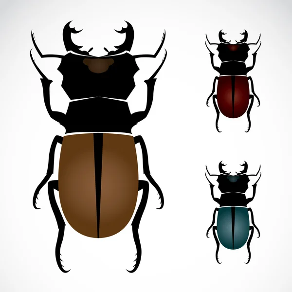 Escarabajo ciervo, el escarabajo más grande — Vector de stock