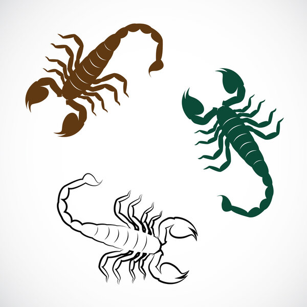 Векторное изображение скорпиона
