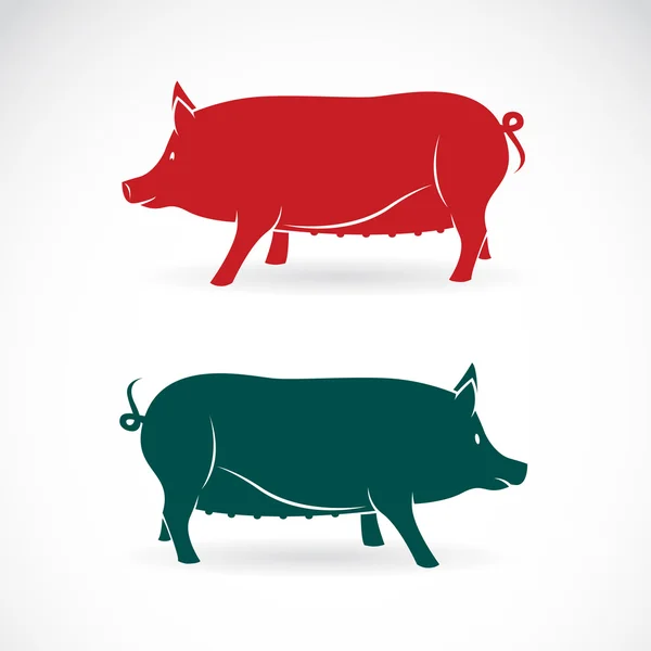 Immagine vettoriale di un maiale — Vettoriale Stock