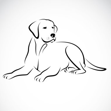 Vector image of an dog labrador clipart