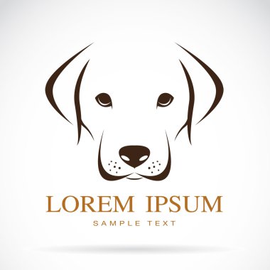bir köpek labrador vektör görüntü