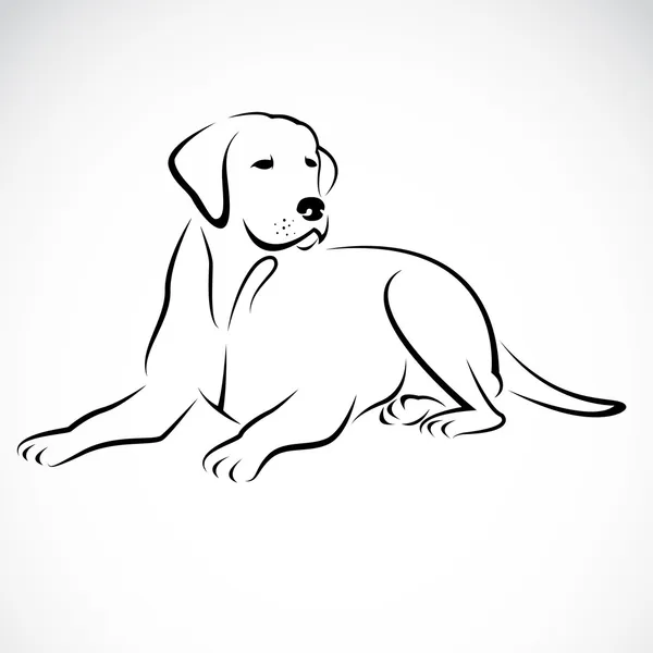 Imagem vetorial de um cão labrador —  Vetores de Stock