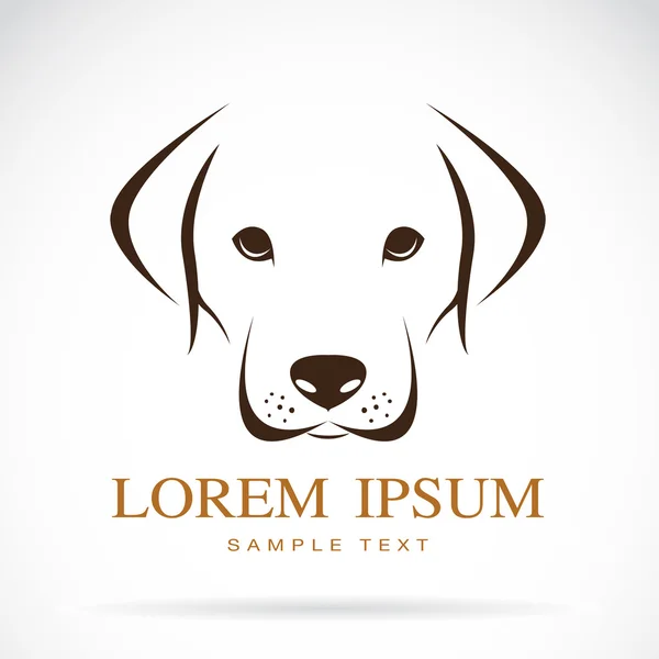 Grafika wektorowa z pies labrador — Wektor stockowy