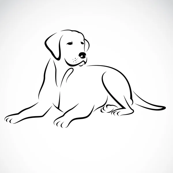 Διανυσματική εικόνα του ένα σκυλί Λαμπραντόρ — Διανυσματικό Αρχείο