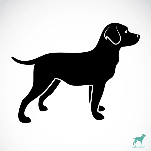 Download 8 554 Labrador Silhouette Vector Images Free Royalty Free Labrador Silhouette Vectors Depositphotos