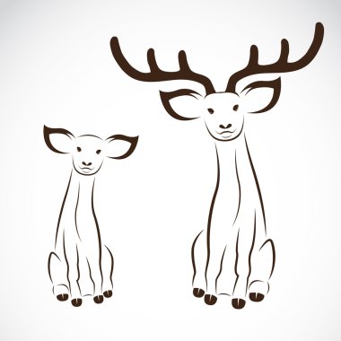 vektör görüntü bir geyik