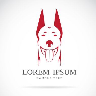 bir köpek (doberman vektör görüntü)