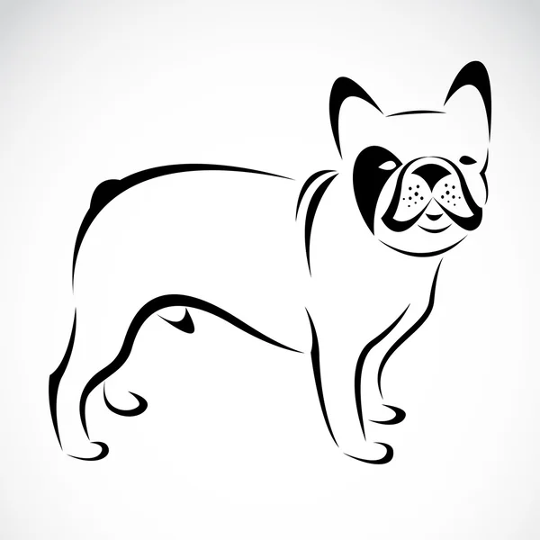 Imagen vectorial de un perro (bulldog ) — Vector de stock