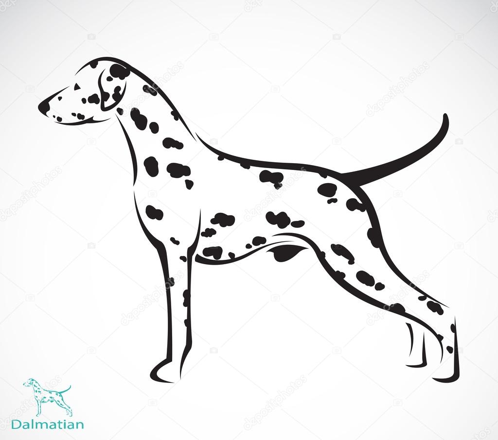 Vector image of an dalmatian dog