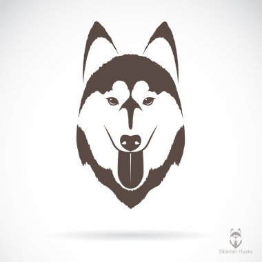 bir köpek Sibirya husky vektör görüntü