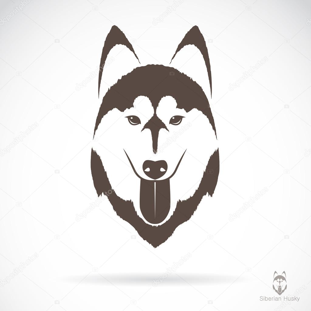Vector image of an dog siberian husky