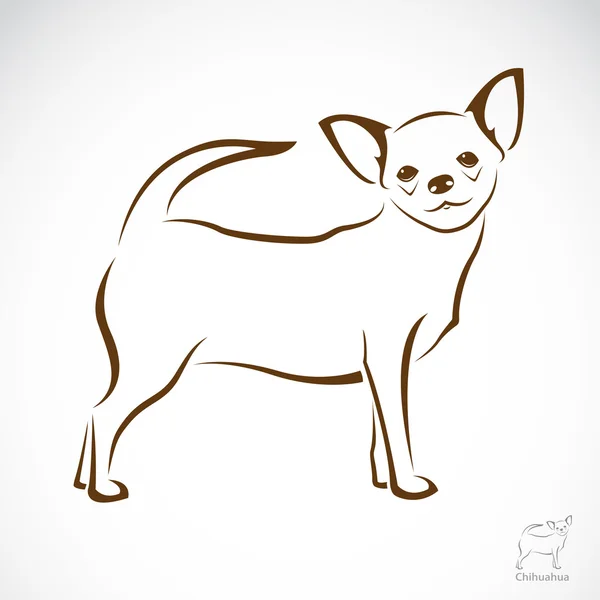 Vector image of an chihuahua dog — Stock Vector