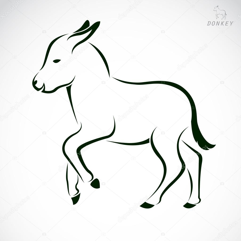 Vector image of an donkey