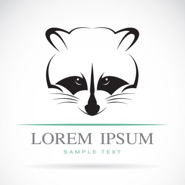 bir rakun vektör görüntü