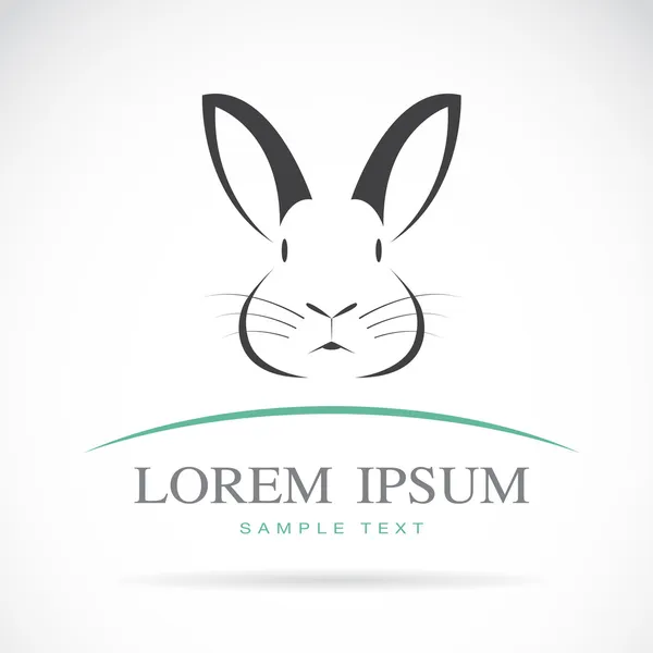 bir tavşan vektör görüntü