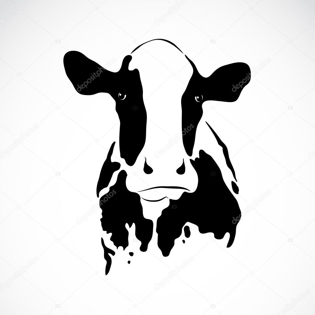 Vector image of an cow