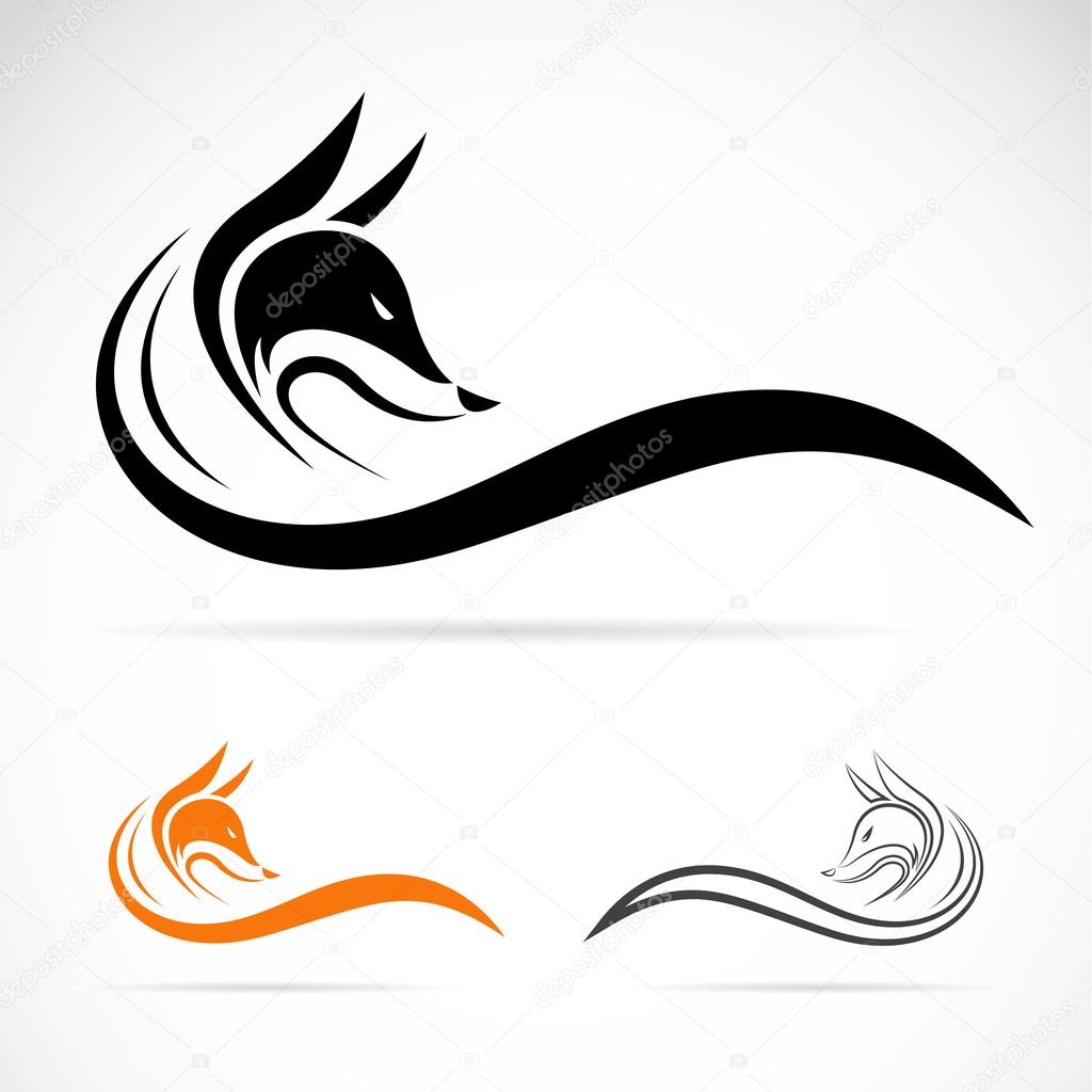 Vector image of an fox on white background