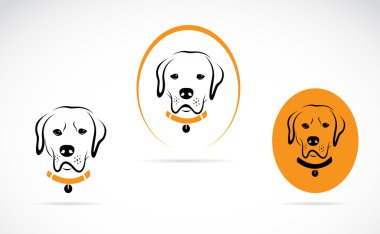 bir köpek labrador vektör görüntü