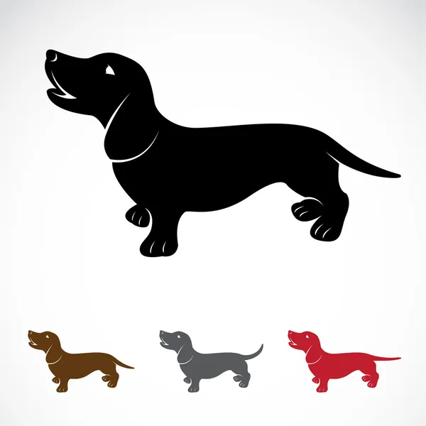 Bir köpek (Dachshund vektör görüntü) — Stok Vektör