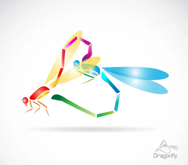 Two colorful dragonfly breeding. — Stock Vector