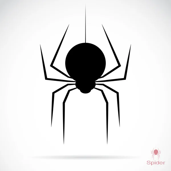 Vector image of an spider — Stock Vector