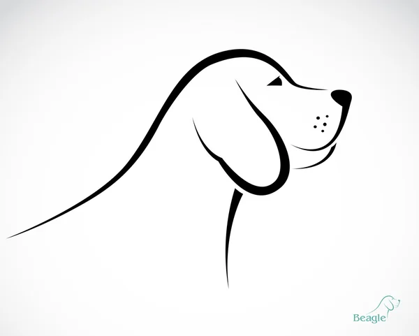 Vector afbeelding van een beagle hond — Stockvector