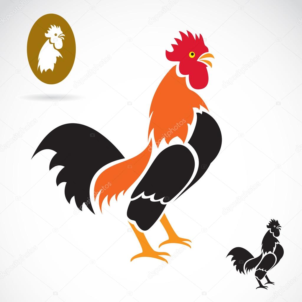 Vector image of an cock