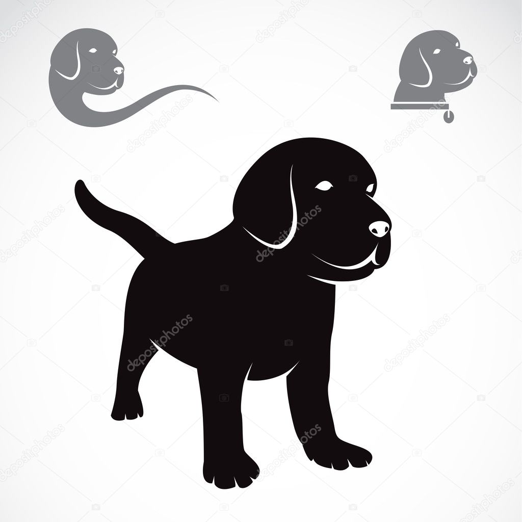 Vector image of an labrador puppies