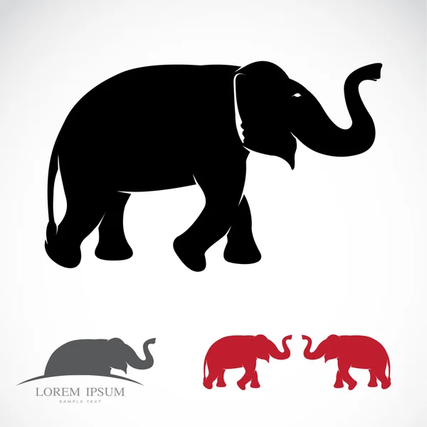 Imagen vectorial de un elefante — Archivo Imágenes Vectoriales