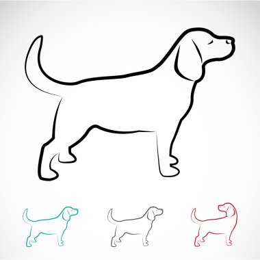 köpek labrador vektör görüntü