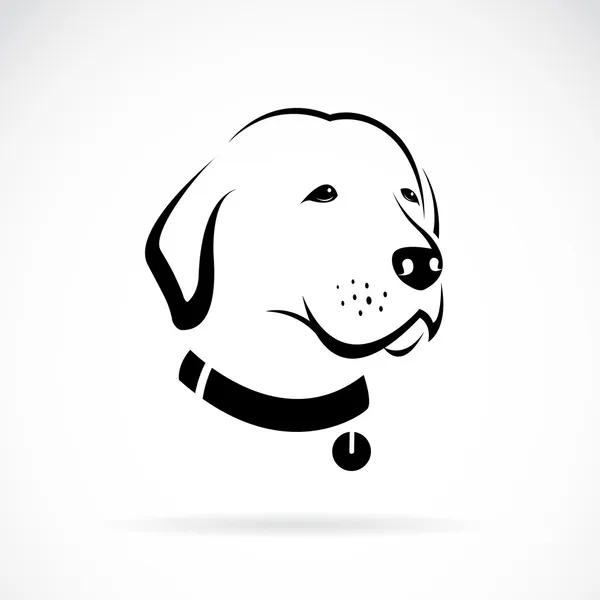 Imagen vectorial de la cabeza de un perro labrador — Archivo Imágenes Vectoriales