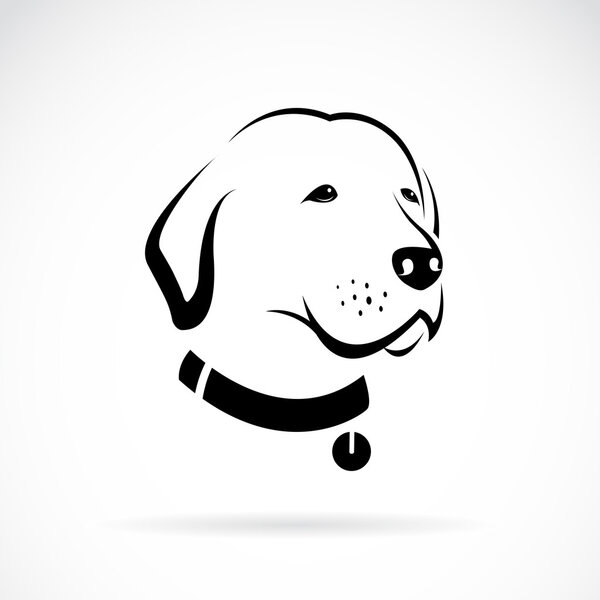 Vector image of an Labrador dog's head