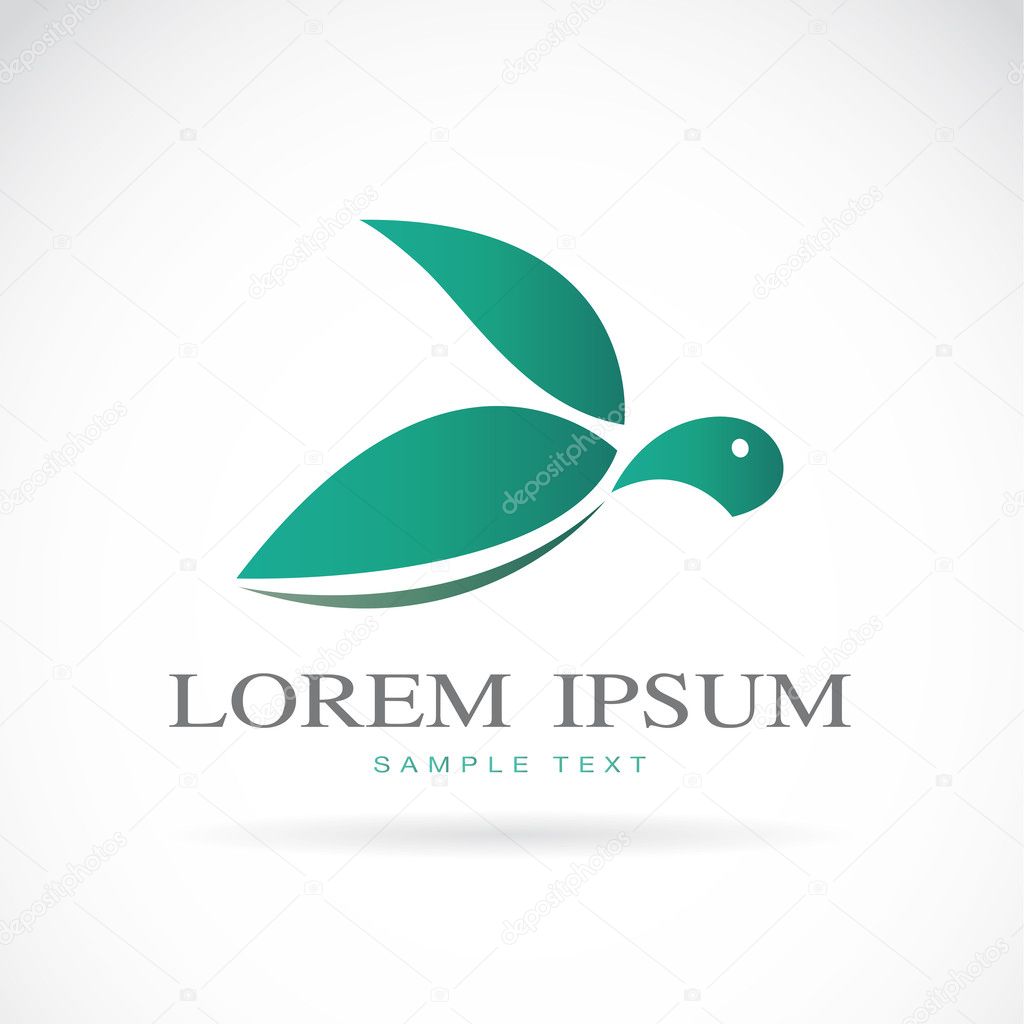 Vector image of an turtle design on white background