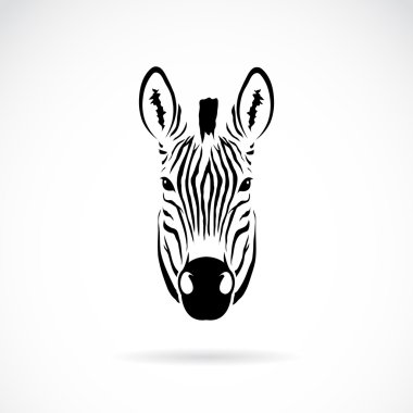 vektör görüntü bir zebra baş