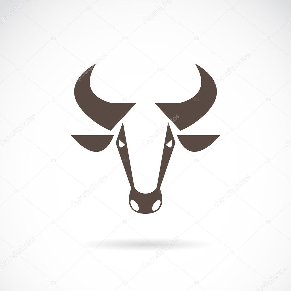 Vector image of an cow head on white background