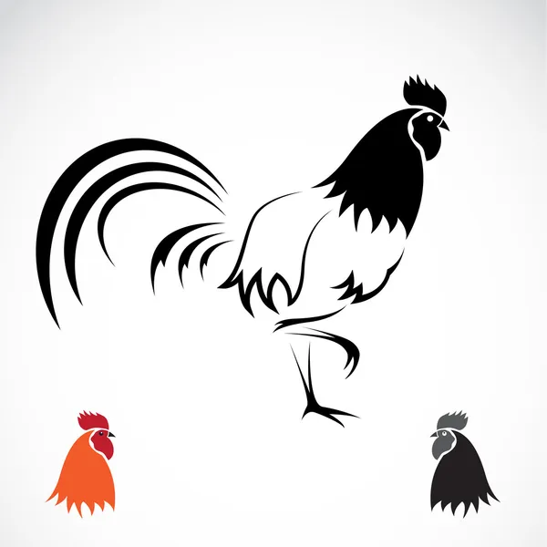 Imagen vectorial de una polla — Archivo Imágenes Vectoriales