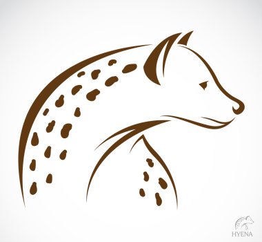 Vector image of an hyena  clipart