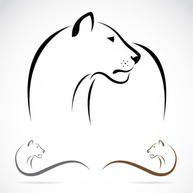 vektör görüntü bir dişi aslan 